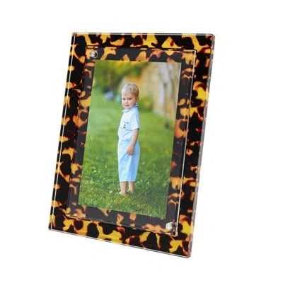 Tara Wilson Designs Frame Colored Acrylic Tortoise In Black;brown