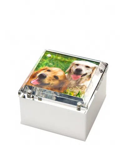 Tara Wilson Designs Small Photo Box - 4 X 4 In Clear In White