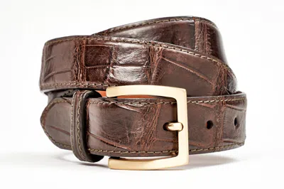 Tardini Brown Alligator Skin Belt (gold Buckle)