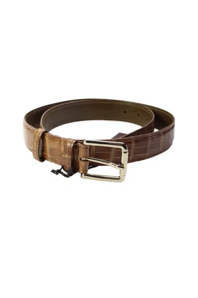 Tardini Mens American Alligator Gold-toned Frame Buckle Belt Brown