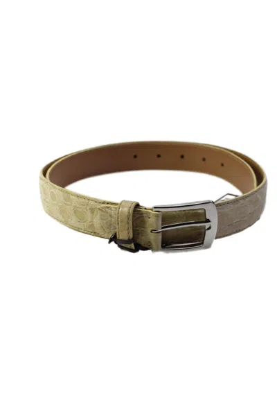 Tardini Mens American Alligator Silver-toned Frame Buckle Belt Beige