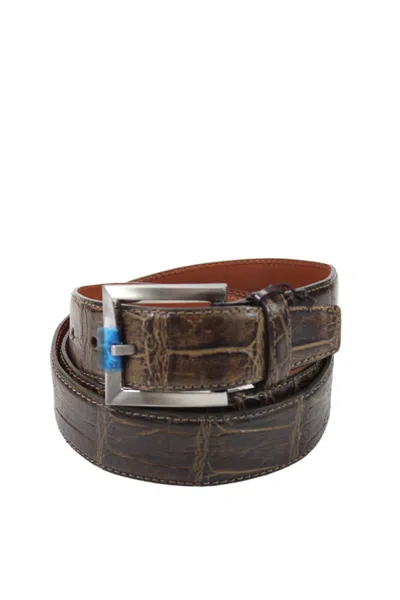 Tardini Mens Genuine American Alligator Wrap Buckled Belt Brown