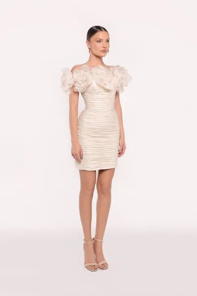 Tarik Ediz Noemi Dress In White