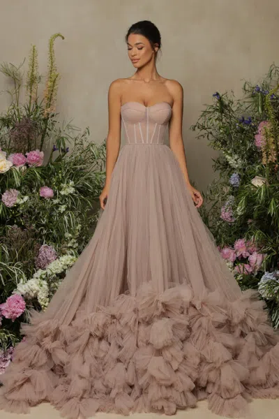 Tarik Ediz Strapless Sleeveless Tulle Gown In Multi