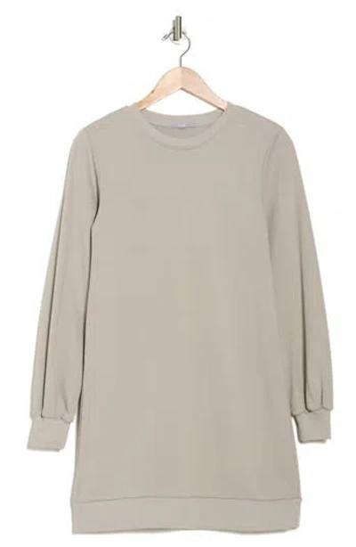 Tart Cece Long Sleeve Sweatshirt Dress In Mourning Dove