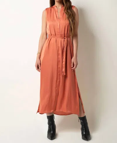 Tart Collections Adya Poly Silk Dress In Copper Coin In Multi