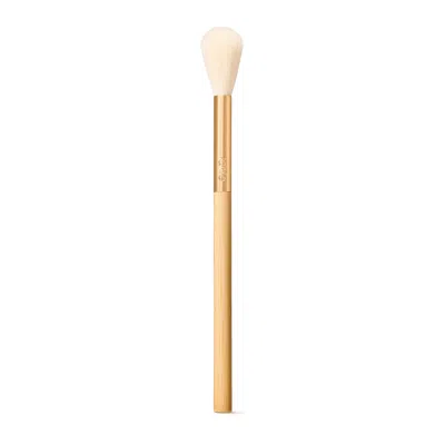 Tarte Cosmetics Glow Wardrobe Highlighting Brush In Multi