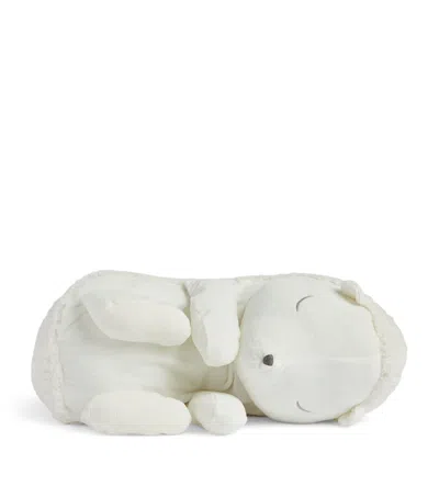 Tartine Et Chocolat Leon The Hedgehog In Beige