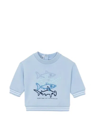 Tartine Et Chocolat Kids' Shark Embroidered Sweatshirt In Blue
