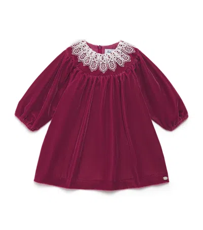 Tartine Et Chocolat Kids' Velvet Lace-collar Dress In Brown