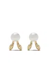 Tasaki 18kt Yellow Gold Danger Fang Pearl Earrings In Gold