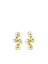 Tasaki 18kt Yellow Gold M/g  Arlequin Slashed Freshwater Pearl Earrings In Gold