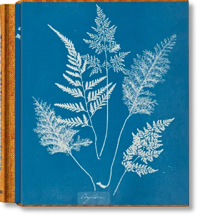 Taschen Anna Atkins. Cyanotypes In Blue