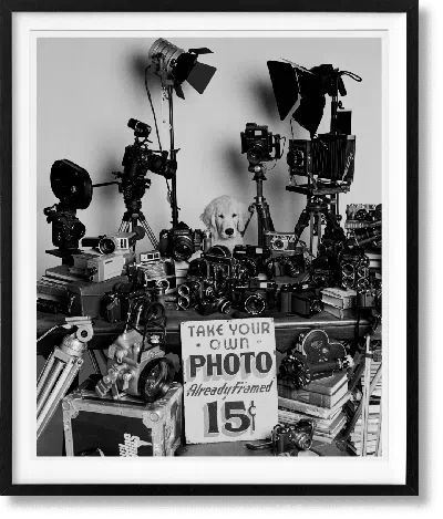 Taschen Bruce Weber. The Golden Retriever Photographic Society. Art Edition No. 101–200 ‘hud, New York City, In Black