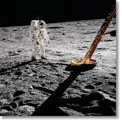 Taschen Buzz Aldrin. Apollo 11. ‘inspecting The Eagle' In Burgundy