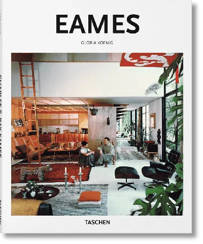 Taschen Eames In Multi