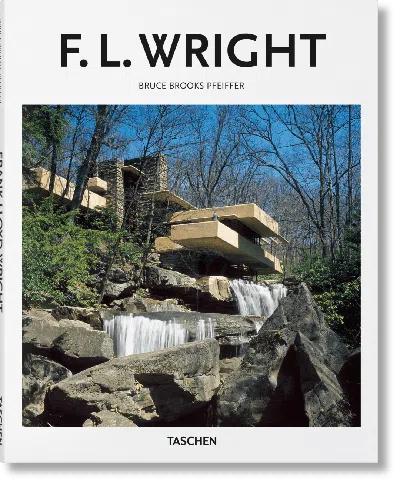 Taschen F.l. Wright In Multi