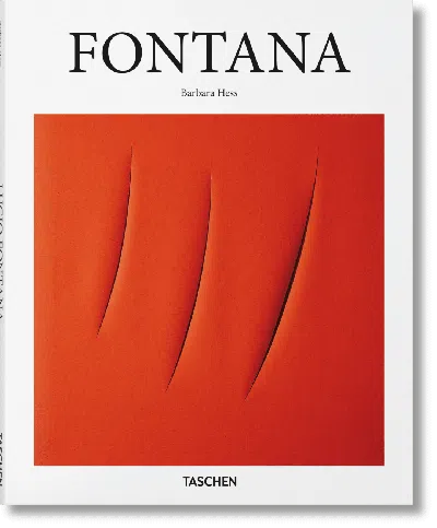 Taschen Fontana In Blue