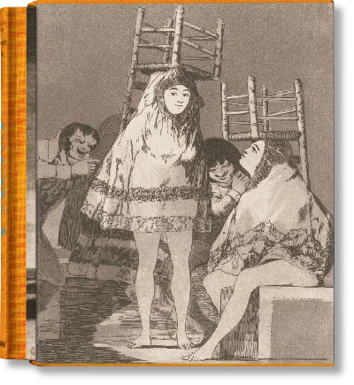 Taschen Goya. The Complete Prints In Multi
