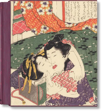 Taschen Hokusai. Shunga In Multi