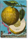 Taschen J. C. Volkamer. The Book Of Citrus Fruits