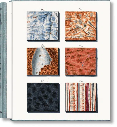 Taschen Jan Christiaan Sepp. The Book Of Marble In Multi