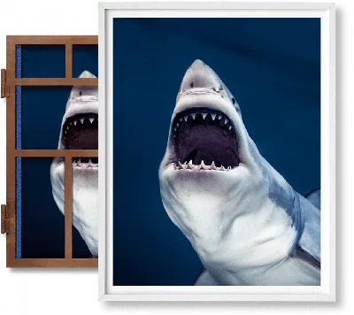 Taschen Michael Muller. Sharks, Art Edition No. 1–100 ‘tear You Apart' In Blue