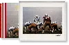 Taschen Neil Leifer. Guts & Glory. Art Edition No. 1–100 ‘johnny Unitas'