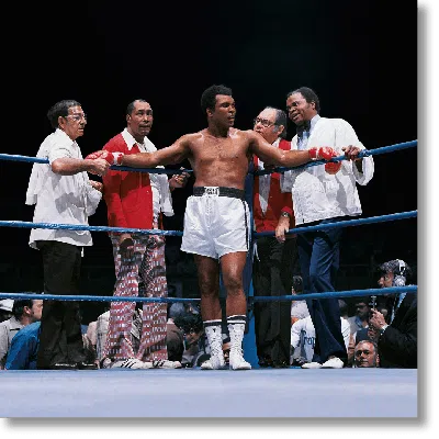 Taschen Neil Leifer. Homage To Ali. 'ali Vs. Lyle, The Champ's Corner, 1975' In Multi