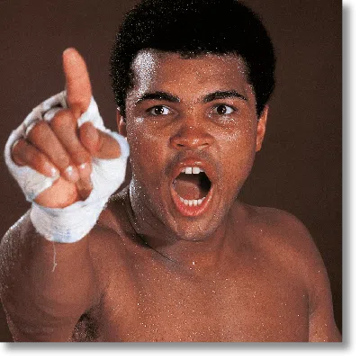 Taschen Neil Leifer. Homage To Ali. ‘the Mouth That Roared, 1970' In Brown