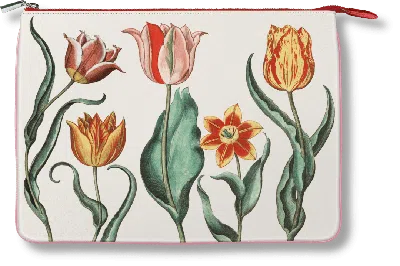 Taschen Pouch. Garden At Eichstätt In Animal Print