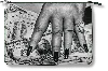 Taschen Pouch. Helmut Newton ‘fat Hand And Dollars'