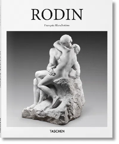 Taschen Rodin In Gray