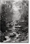 Taschen Salgado. Amazônia. Magnet ‘creek'