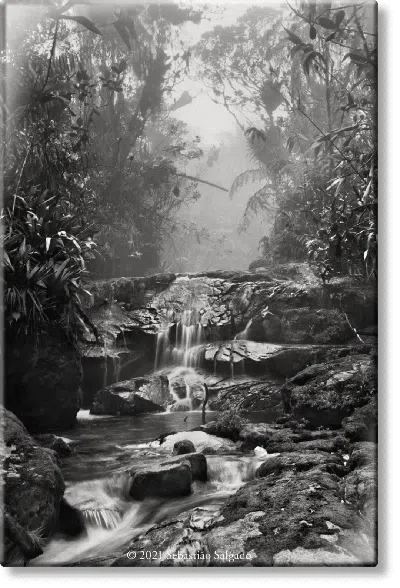 Taschen Salgado. Amazônia. Magnet ‘creek' In Multi