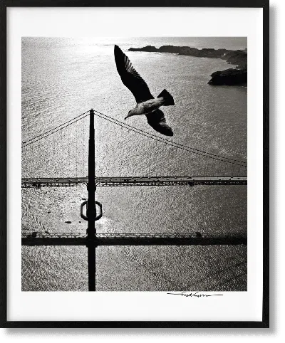 Taschen San Francisco. Portrait Of A City, Art Edition No. 76–150 'seagull Over Golden Gate Bridge, Early 19 In Black