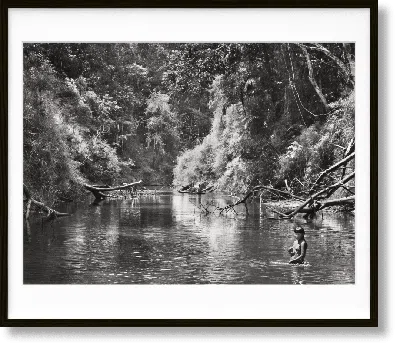 Taschen Sebastião Salgado. Amazônia, Art Edition No. 101–200 ‘young Hatiri Suruwahá Bathes In A Backwater Of In Blue