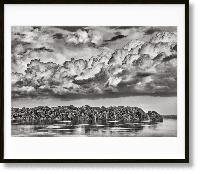 Taschen Sebastião Salgado. Amazônia, Art Edition No. 301–400 ‘the Paraná Connecting The Rio Negro With The C In Blue