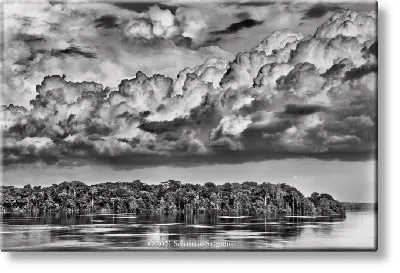 Taschen Sebastião Salgado. Amazônia. Magnet ‘parana' In Blue