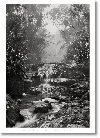 Taschen Sebastião Salgado. Amazônia. Poster ‘creek'