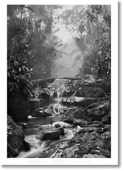 Taschen Sebastião Salgado. Amazônia. Poster ‘creek' In Multi
