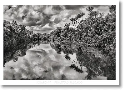 Taschen Sebastião Salgado. Amazônia. Poster ‘jau River' In Multi