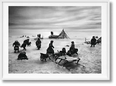Taschen Sebastião Salgado. Genesis. Art Edition No. 101–200 ‘north Of The Ob River, Yamal Peninsula, Siberia In Brown