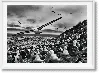 Taschen Sebastião Salgado. Genesis. Art Edition No. 201–300 ‘black-browed Albatrosses, Falkland Islands'