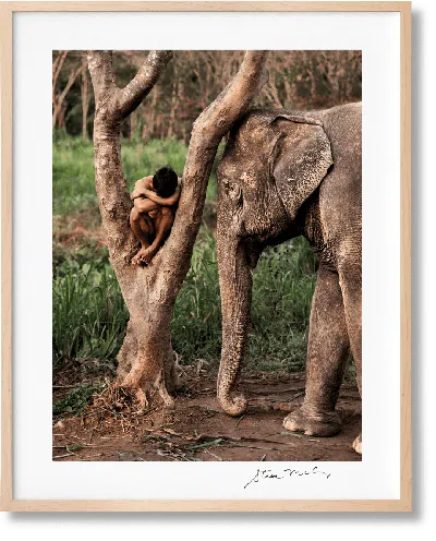 Taschen Steve Mccurry. Animals. Art Edition No. 1–100 ‘chiang Mai, Thailand, 2010' In Blue