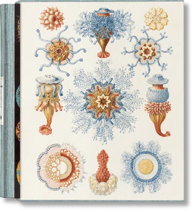 Taschen The Art And Science Of Ernst Haeckel