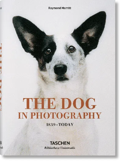Taschen The Dog In Photography 1839–today In White