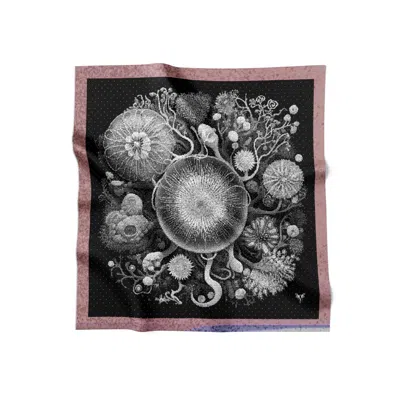Tash And Ley Women's Black 90 Micro-organisms Scarf