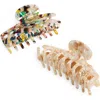 Tasha Assorted 2-pack Claw Clips