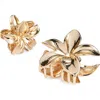 Tasha Assorted 2-pack Flower Hair Clips In Gold